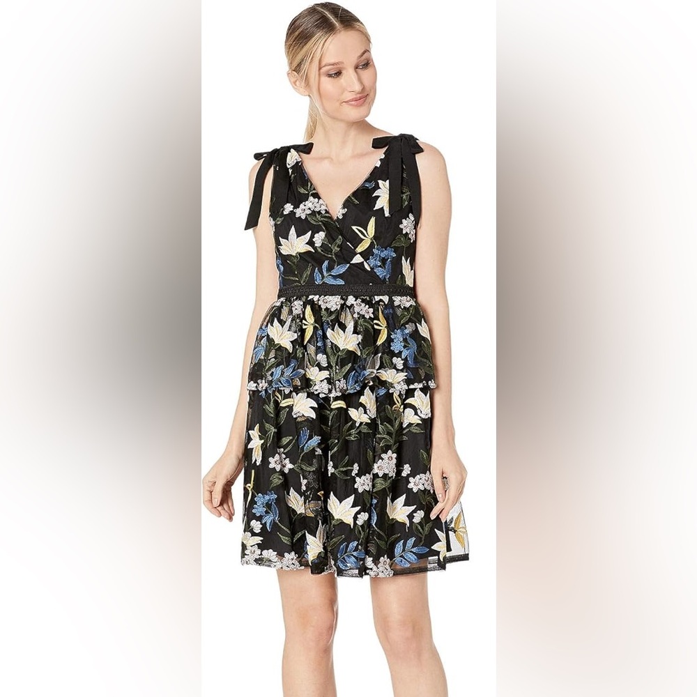 Adrianna Papell Women’s Sequin Embroidery Dress in size 16
